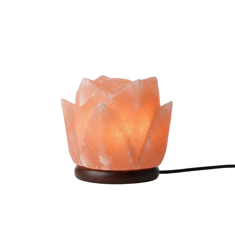 Lotus Flower Shape Lamp