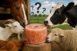 FAQs About Animal Lick Salt