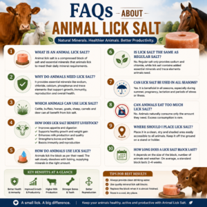FAQs About Animal Lick Salt